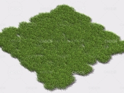 小草绿草植物C4D模型 pattern_small-grass-2