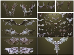 33个怪物动物翅膀3D模型Wings