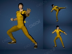 9个李小龙武术动作绑定动画模型