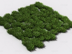 花纹草坪草地绿草植物C4D模型 pattern_lawn-grass-3