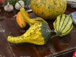 倭瓜 南瓜C4D模型 Pumpkin