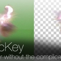 AE 魔法抠像插件 YY_MagicKey v1.1 x64（Z汉化）