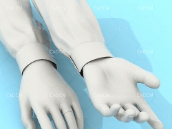 男人张开的手 穿衬衣的男性胳膊C4D模型 hand