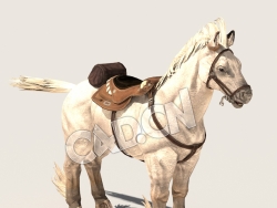 C4D装马鞍的白马坐骑模型（包含骨骼绑定未包含动画) Horse_D03 3D Model