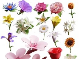精选20种精致卡通花卉植物立体模型素材合集3D模型设计资源下载