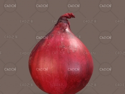 C4D红洋葱蔬菜模型