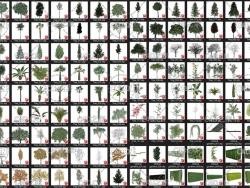 100多个SU树木模型合集(SKP格式模型) SketchUp Model 3D Tree set
