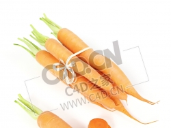 胡萝卜一捆胡萝卜切片的蔬菜C4D模型 Carrot