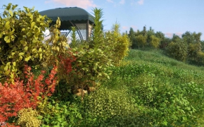 高山花卉植物3D模型 R&D Group – iFlowers vol.2 Alpine