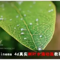 Cinema 4d真实树叶水滴动画教程