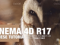 138集C4D全解中文视频教程CINEMA 4D Chinese Tutorial