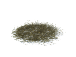 杂草模型下载simple grass v1