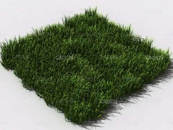 野草植物C4D模型 pattern_wild-grass-3