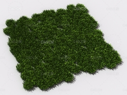 花纹草坪草地绿草植物C4D模型 pattern_lawn-grass-8