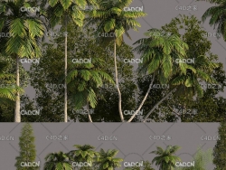 17个树木3D模型（松树,垂柳,棕榈）Tree Pack 01 3D models