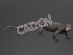C4D巨蜥科莫多龙模型 Dragon De Komodo