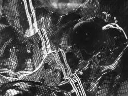 C4D实用工程第294季：波动的网格地形动画C4D工程文件 c4d project