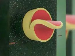 C4D用线将火腿肠切片的动画教程 Slice Loop Cinema 4D - Tutorial