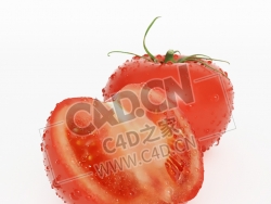 带水珠的新鲜红西红柿切开的蔬菜一半西红柿C4D模型 Tomatoes