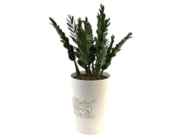 室内装饰植物C4D模型(15) Interior plants 3d model