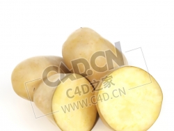马铃薯蔬菜切开的土豆C4D模型 potato