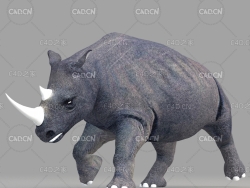 犀牛 rhino