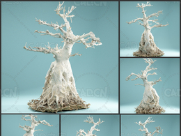 粗根枯树老树根Dead Bonsai 07