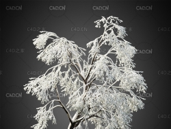 大雪覆盖的雾凇冰花树挂树木C4D模型HeliosVegetation Vol.9