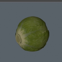 卷心菜 茴子白3D模型 cabbage