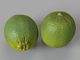 青柠檬 水果 酸橙 橙子C4D模型 lemon 3d model