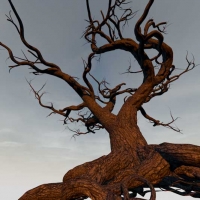 老枯树精细3D模型 Old dead tree