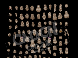 102个女性头发造型发型模型合集 Sexual hair styling