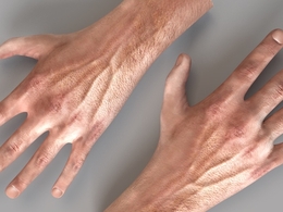 男性人体左手右手C4D模型 Palm