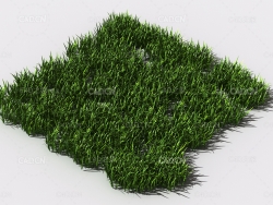 野草植物C4D模型 pattern_wild-grass-13