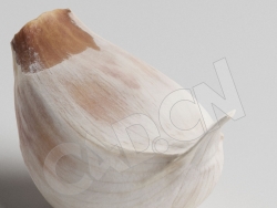 C4D掰下来的蒜瓣模型 Garlic