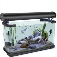 观赏鱼3D模型 鱼缸3D模型