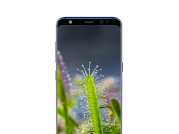 蓝色三星手机Galaxy S8c4d模型下载