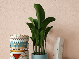 字母L创意场景圆柱绿植粉色墙C4D octane模型