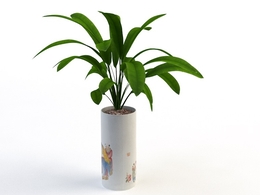 室内装饰植物C4D模型(10) Interior plants 3d model