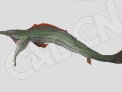 张嘴捕食的派克鱼C4D动画模型