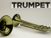 The Pixel乐器:小号C4D模型 trumpet