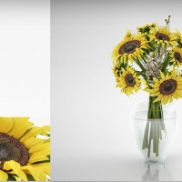 室内装饰花瓶：向日葵插花C4D模型 Sunflowers Floral 3D model