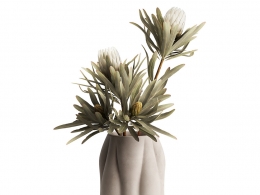 带花漂浮花瓶装饰花器3D模型素材下载Float Vase with Flowers by BoConcept