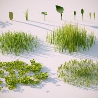 C4D for vray草地植物模型：vray proxy grass scene