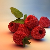 树莓 杨莓3D模型 Red bayberry 3dmodels