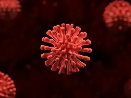 病毒渲染