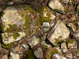 长满绿苔的石头地面 Aset rock sandstone