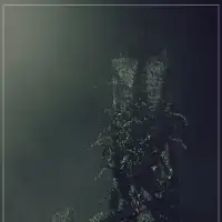 C4D字母总动员《J》中文视频教程