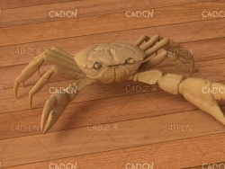 螃蟹C4D模型 crab