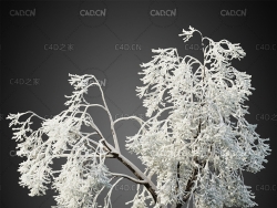 大雪压弯的树冬天的树木雾凇C4D模型HeliosVegetation Vol.1